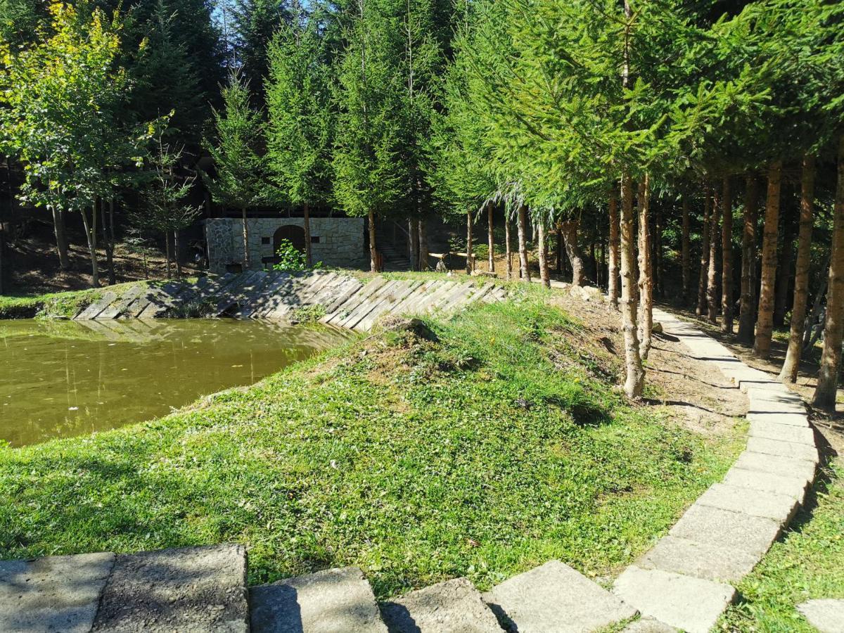 Campingplatz Pensiunea Ionela *