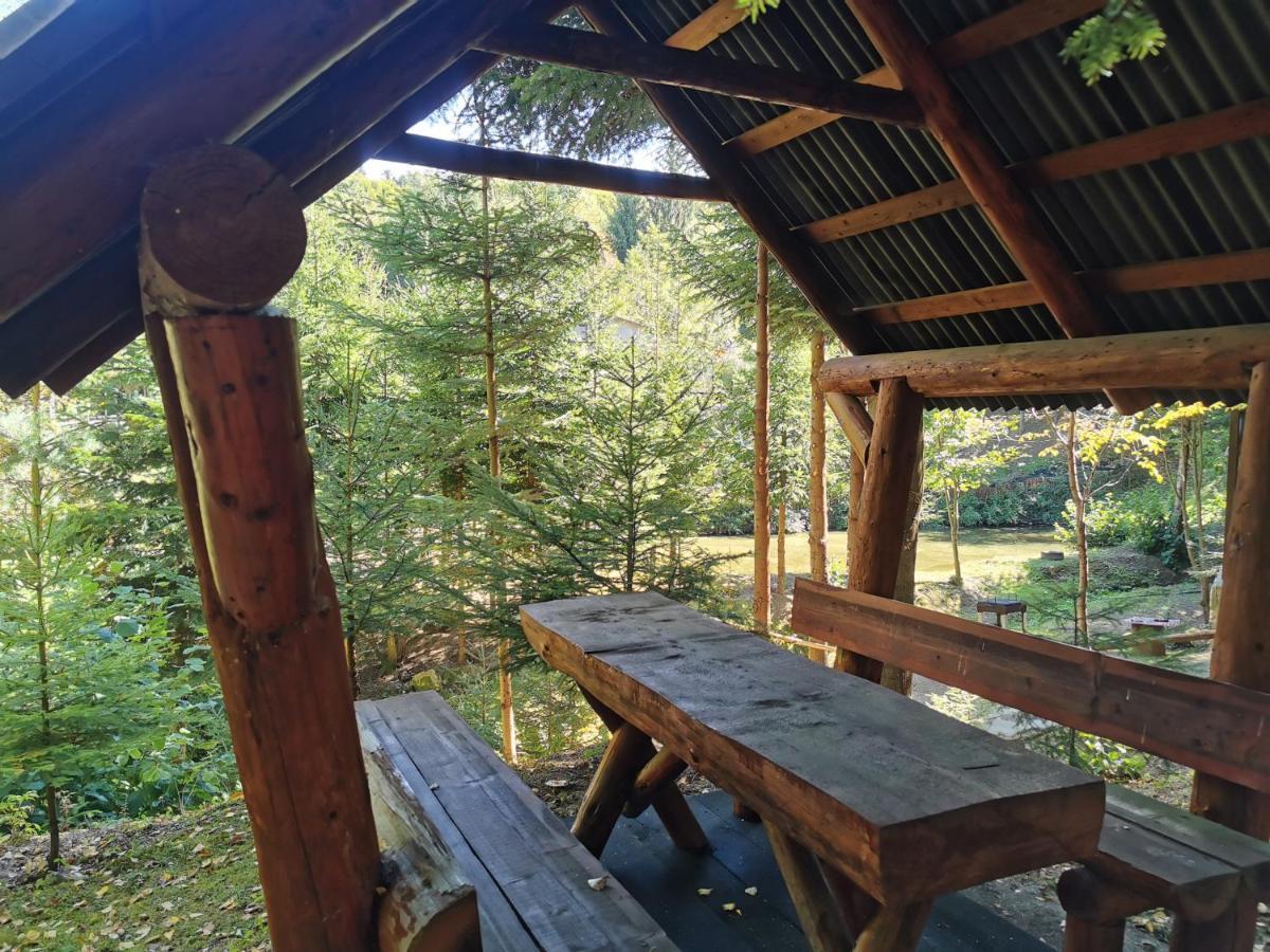 Pensiunea Ionela Campingplatz Zemes