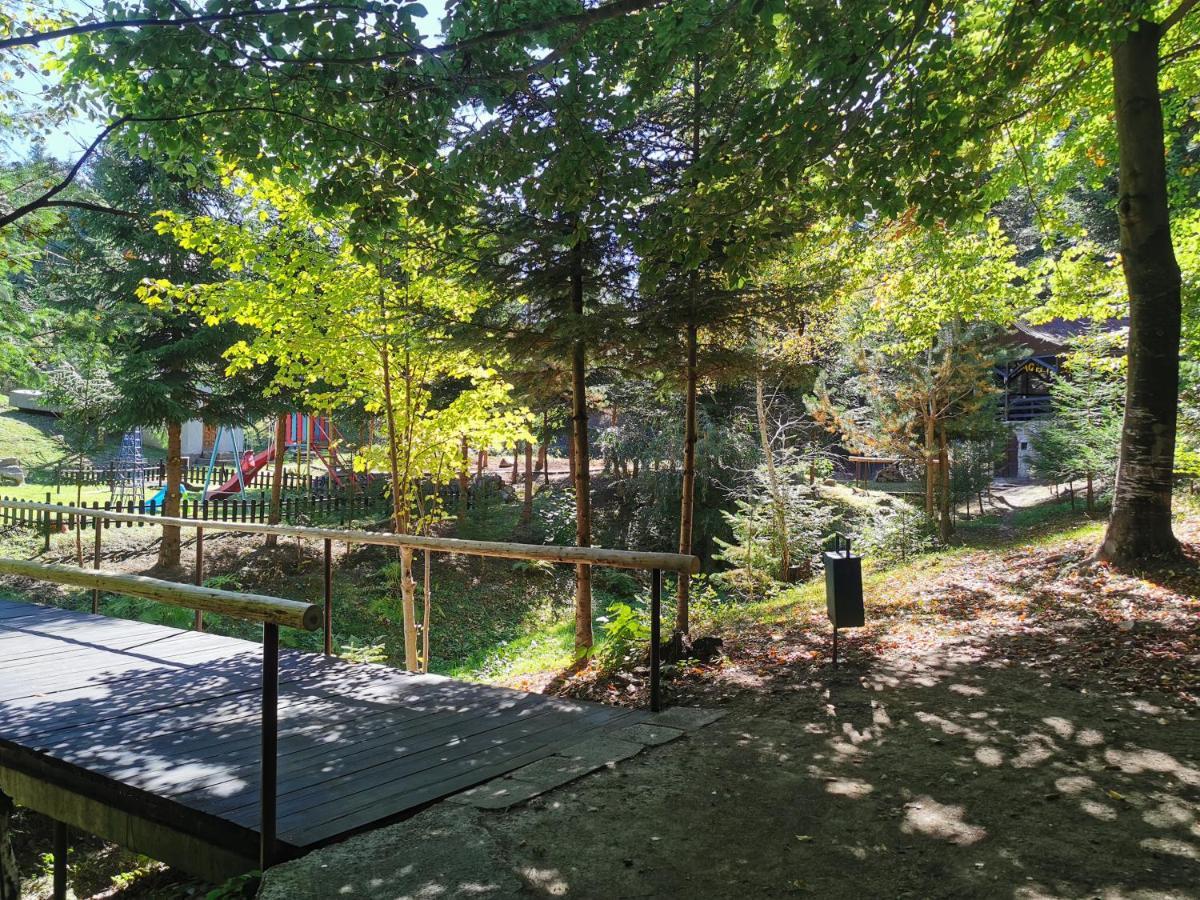 Pensiunea Ionela Campingplatz *