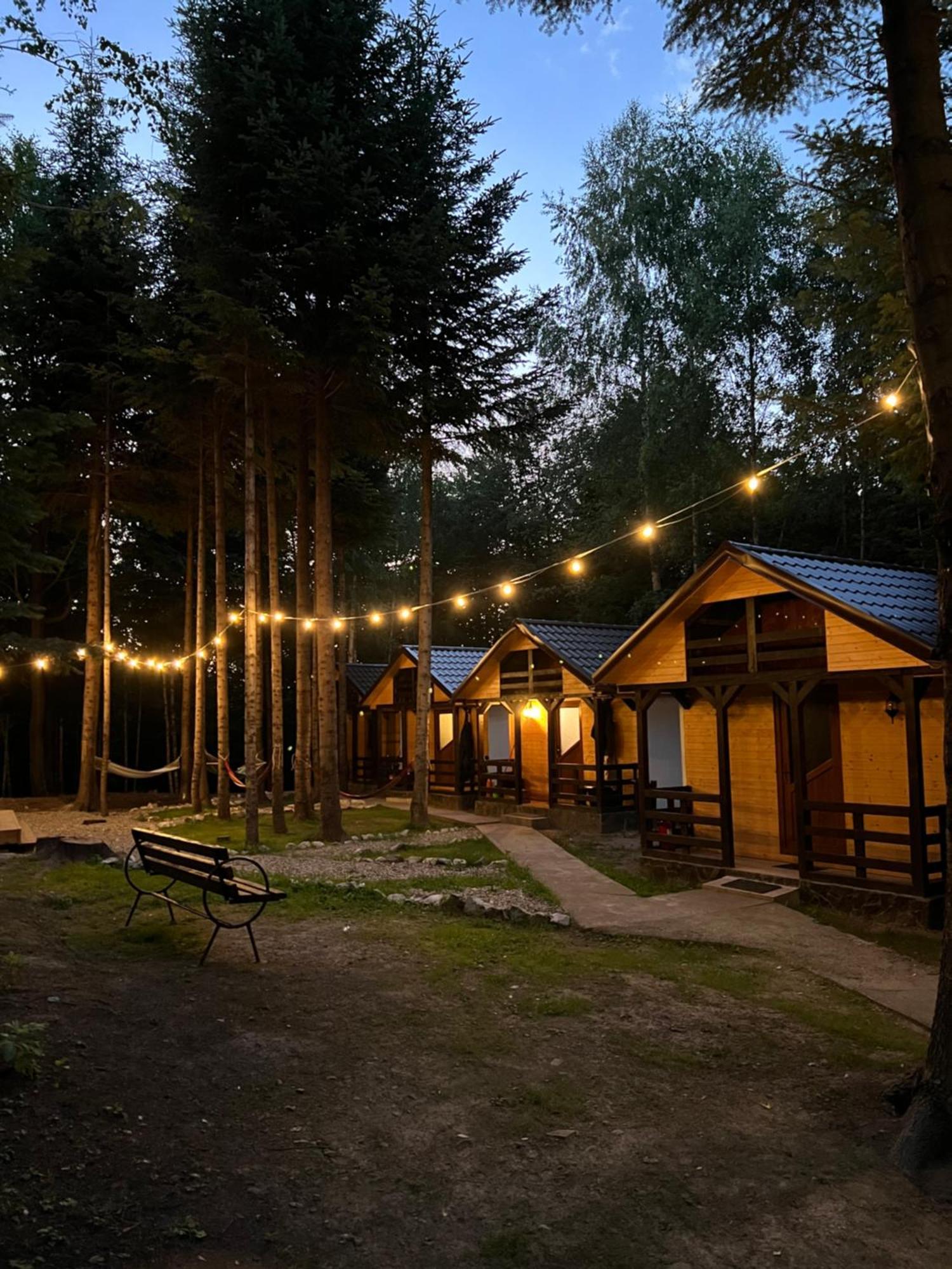 Campingplatz Pensiunea Ionela Zemes